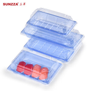 Sushi togo box丨disposable plastic container