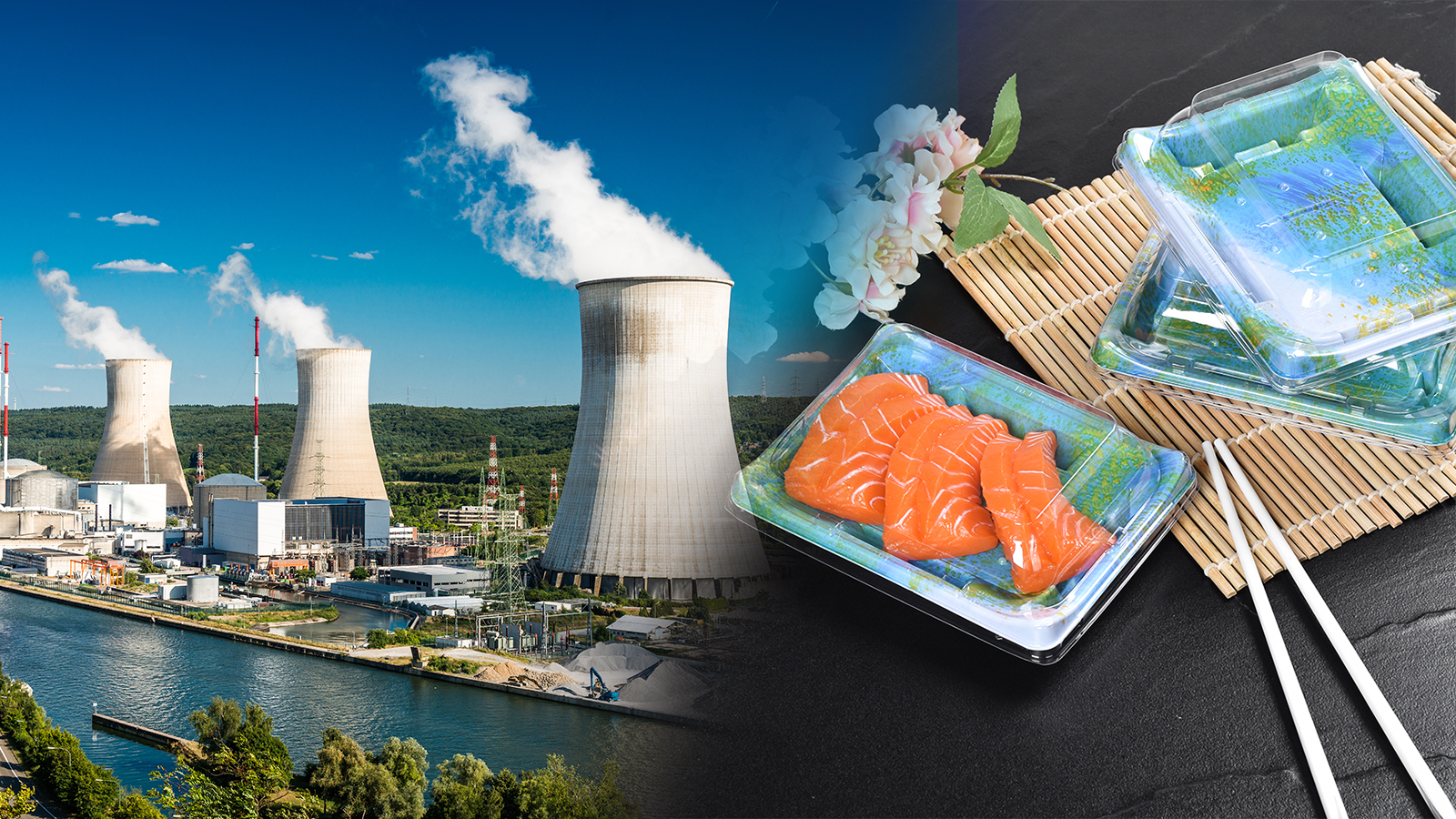 Nuclear radiation and sushi industry prospects in Japan: Challenges and responses